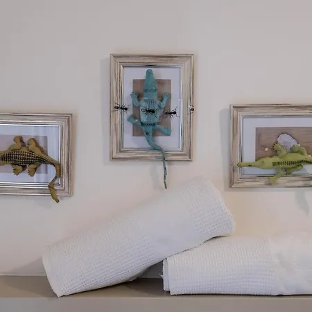 Mini Amina פלטרה